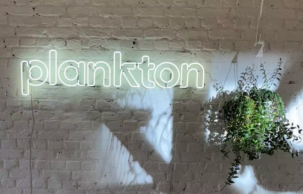 Неоновый логотип компании Plankton на белой кирпичной стене