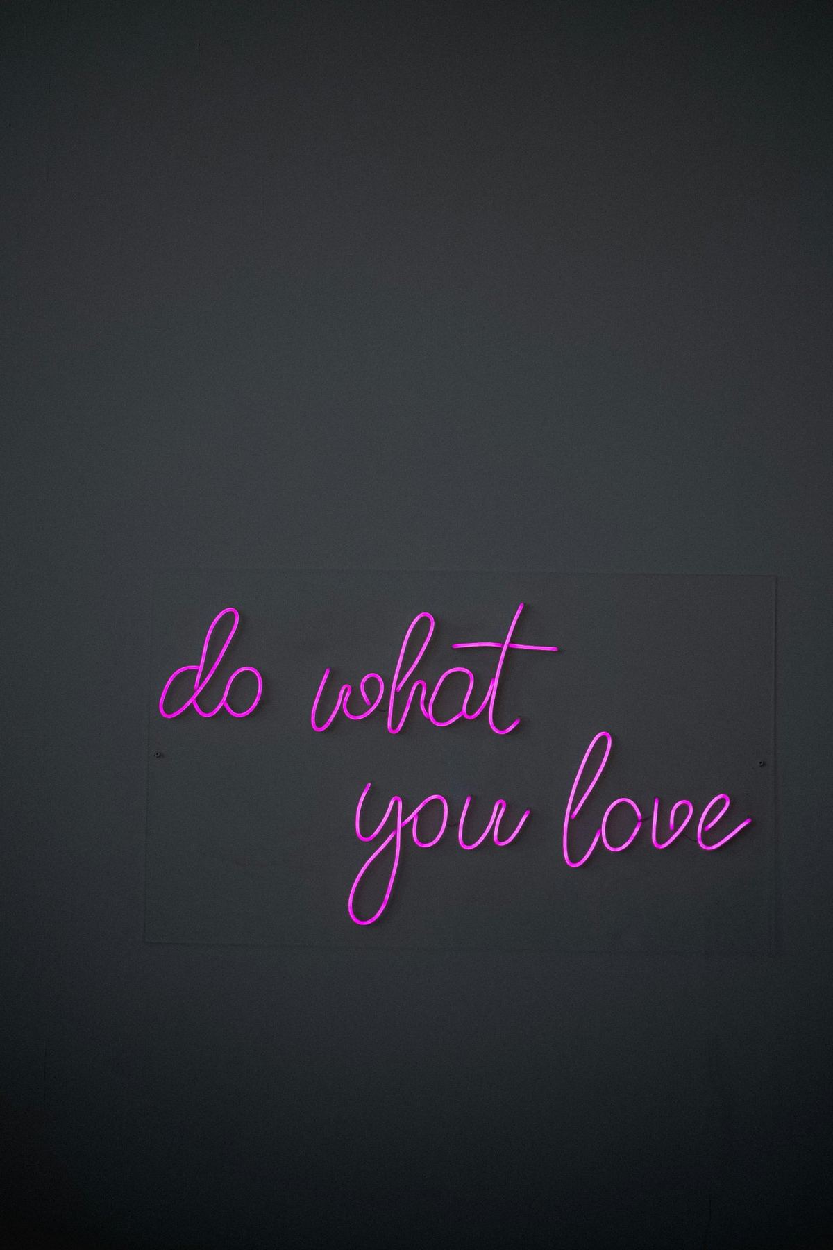 Неоновая фраза do what you love на серой стене — туалет с характером